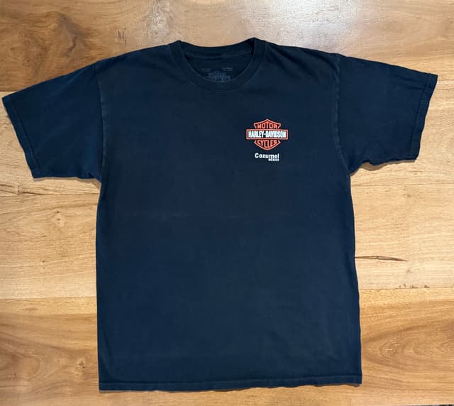 Remera Harley Davidson 